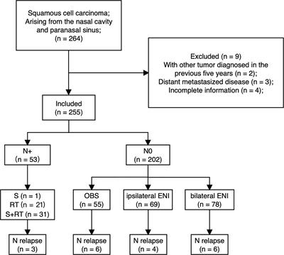 Lymph Node Metastasis Spread Patterns and the Effectiveness of Prophylactic Neck Irradiation in Sinonasal Squamous Cell Carcinoma (SNSCC)